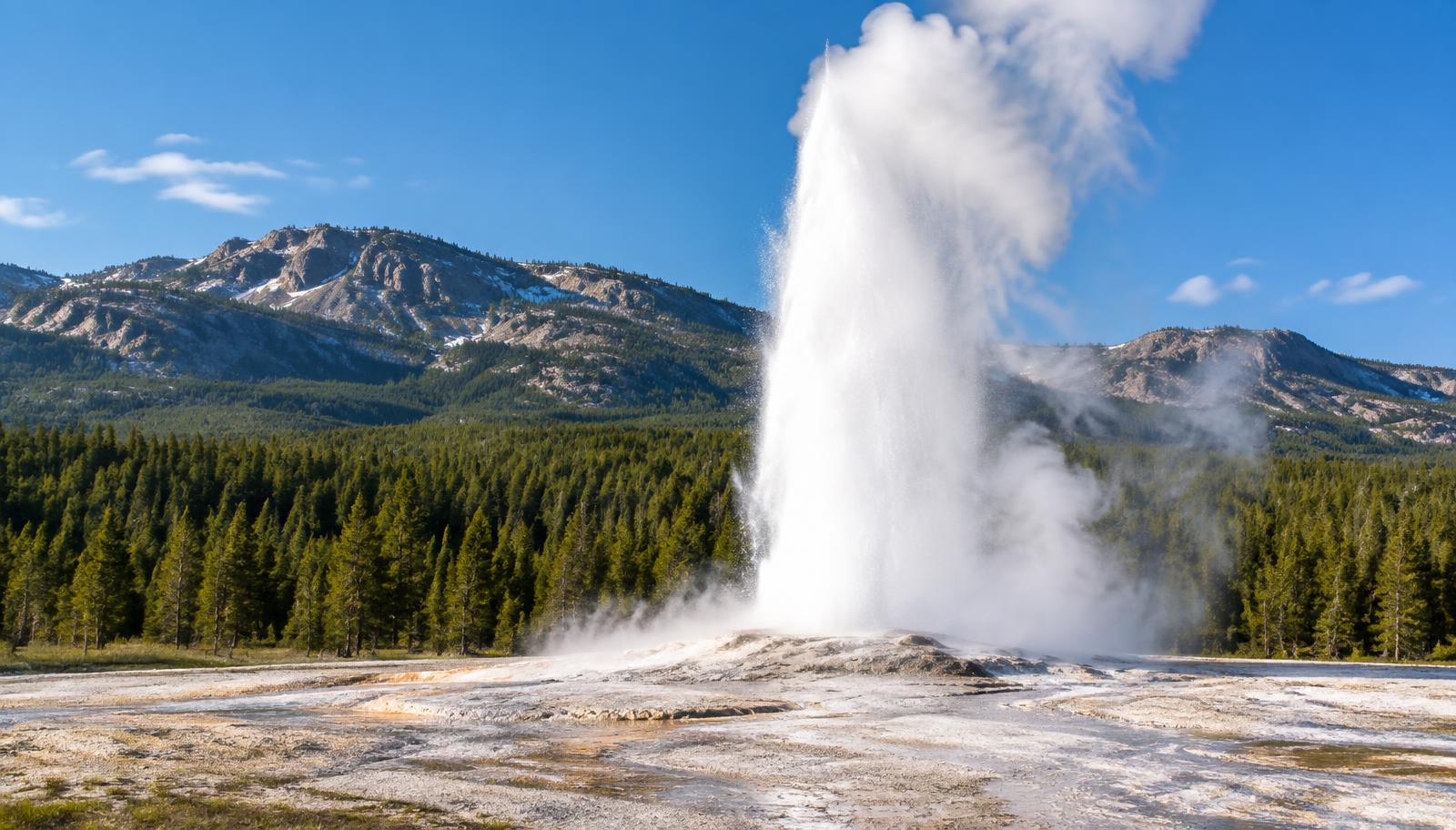 A tall column of steam and water erupting from a pale mineral basin, with pine forest and mountains behind.